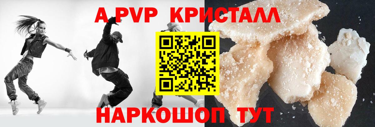 Alfa_PVP СК Курчалой