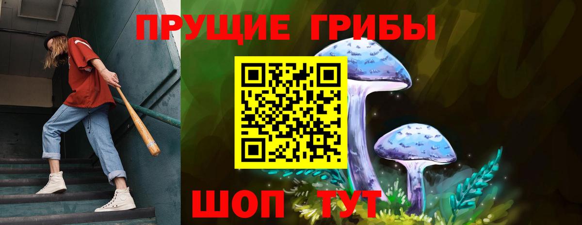 Псилоцибиновые грибы MAGIC MUSHROOMS Курчалой